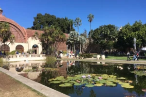 Step On Balboa Park Pond