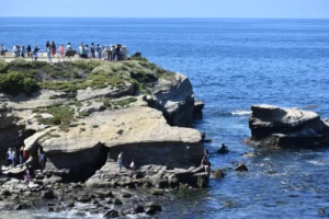 Step On Sea Lions